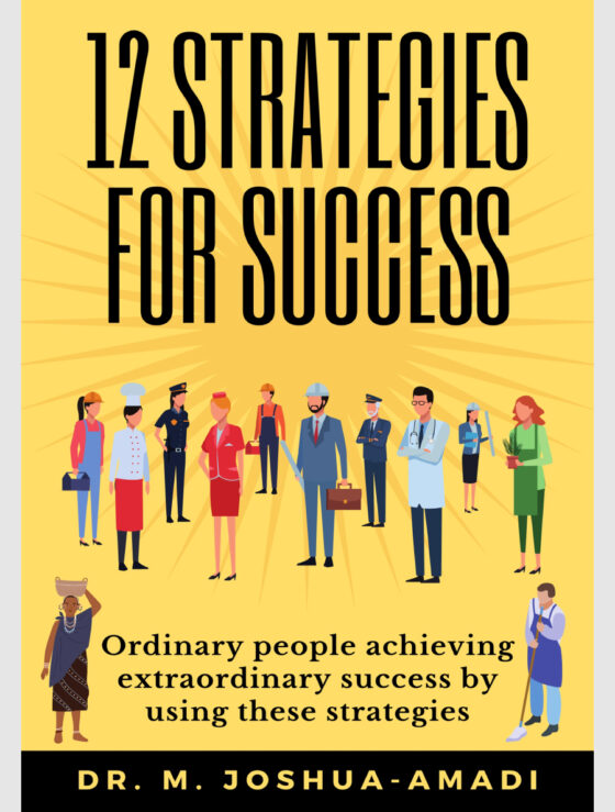 12 Strategies for Success (ebook)